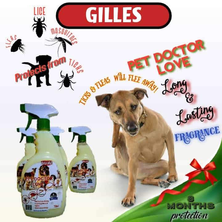 Gilles flea and tick repellent for dogs 750ml spray bottle