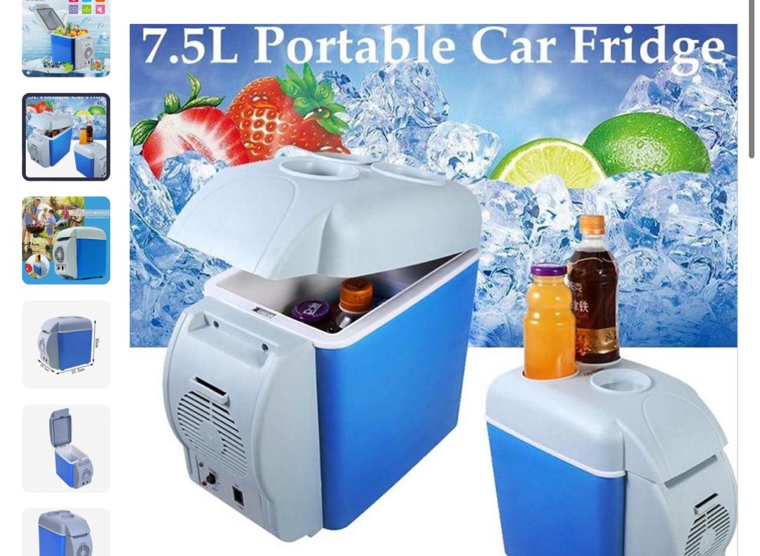 Portable car fridge