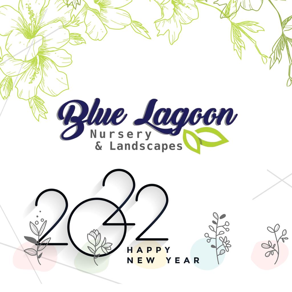 Blue Lagoon Nursery and landscapes