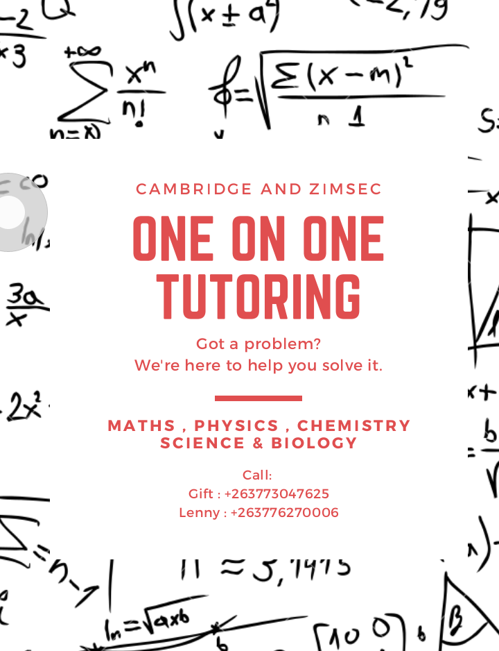 One on one tutoring + lessons
