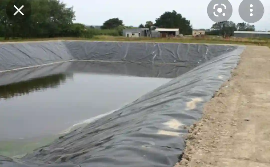 Fish Pondliner