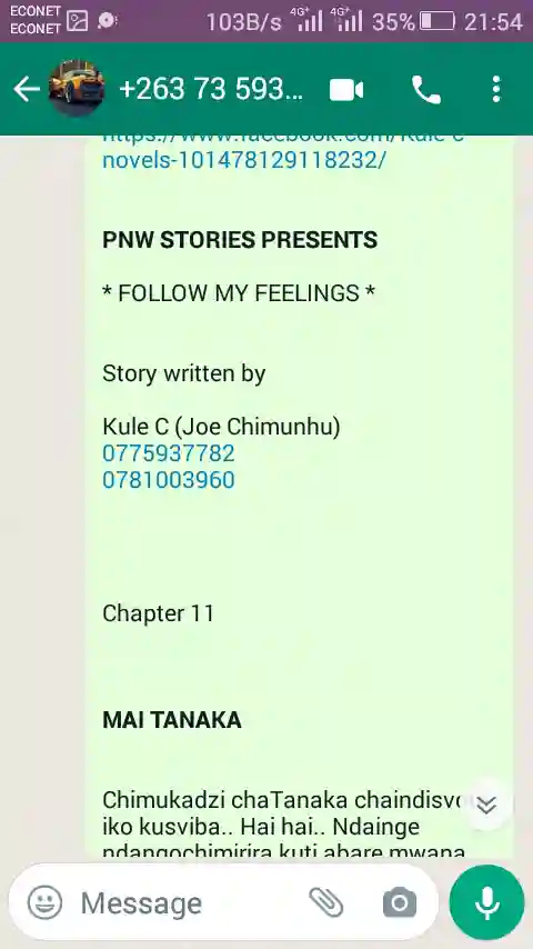 Follow my feelings** novel chapter 1