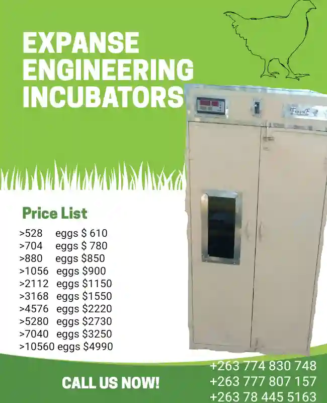 Automatic egg incubators