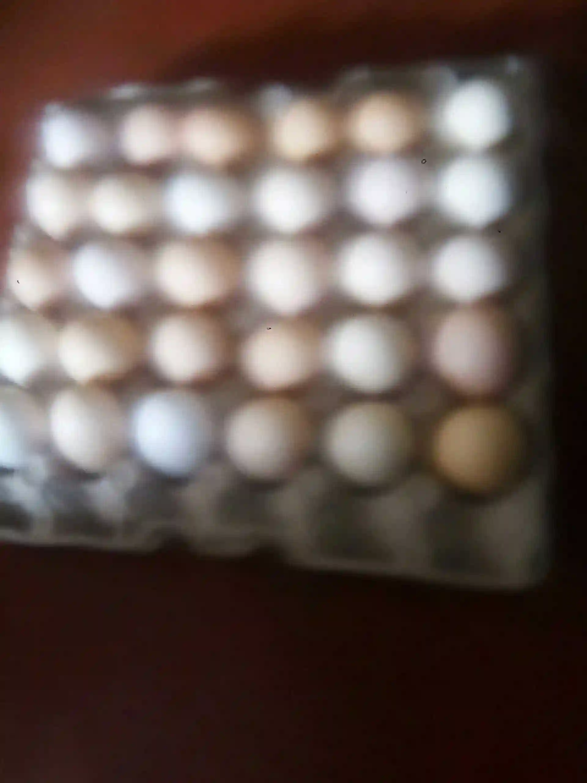 BLACK AUSTRALORP FERTILIZED EGGS Zimbabwe