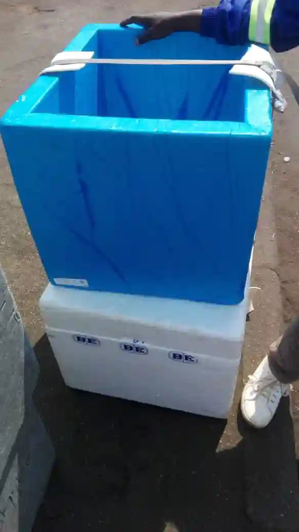 care light cooler Boxes 