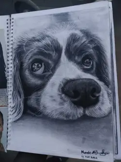 charcoal drawing a puppy 
