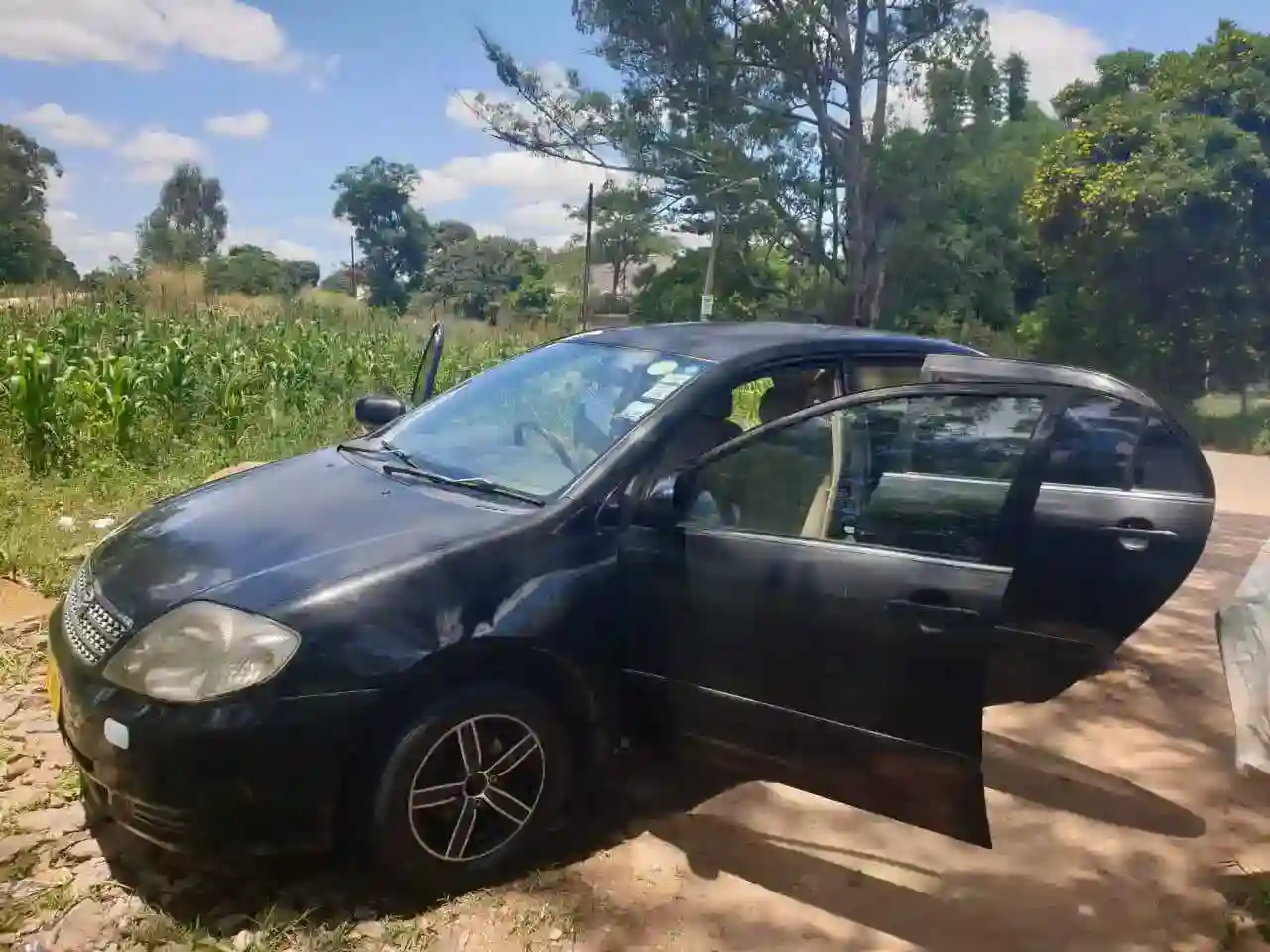 corolla bubble