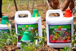 D.I GROW FOLIAR FERTILIZER (ZIM REG No. 501/16 & 502/16) - Zimbabwe