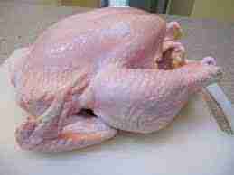 Dressed Broiler Chicken