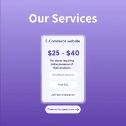 E-commerce Website Development