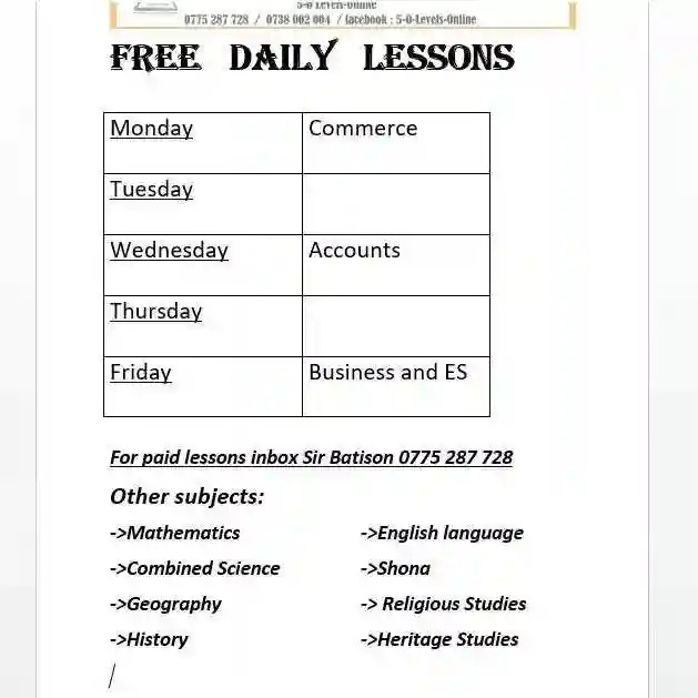 Free and Affordable O'Level Lessons