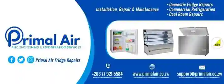 Fridge Repairs and Regas - Professional Services