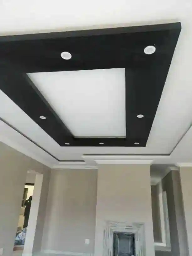 full house Ceiling designs