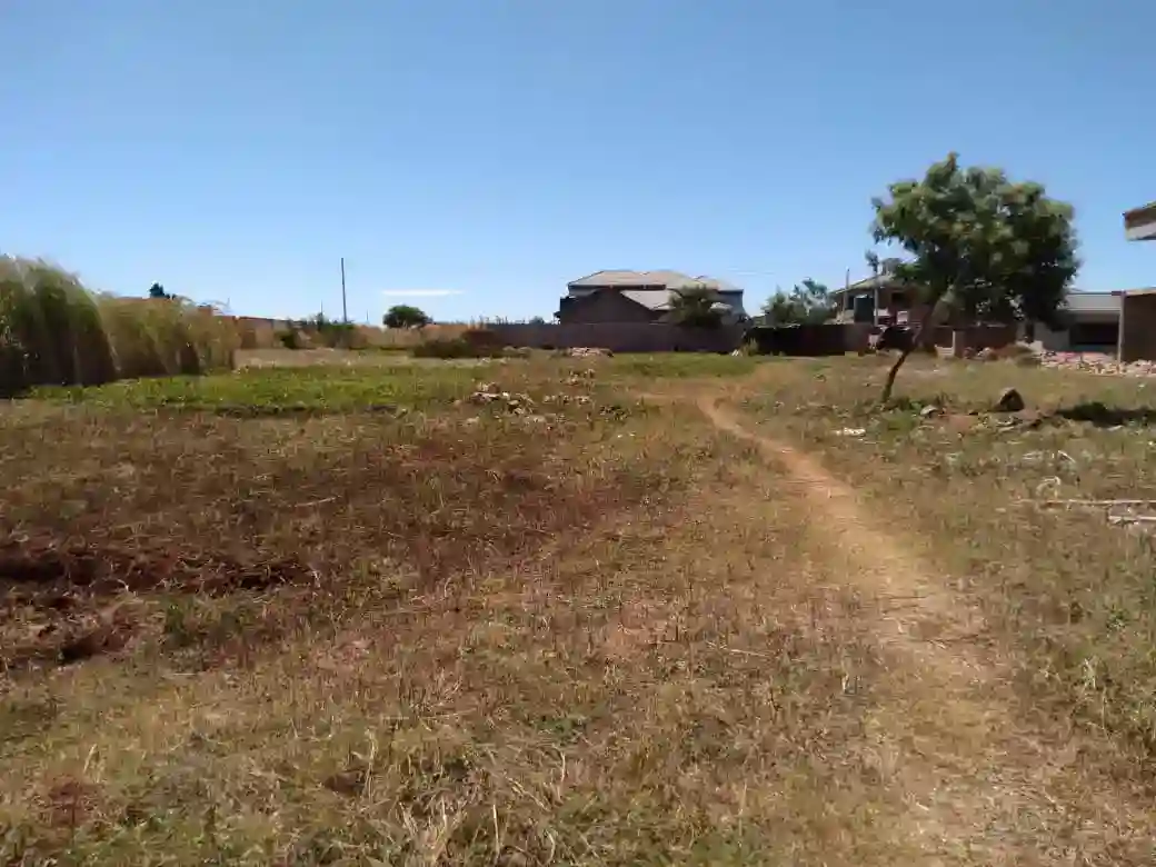 Hatfield stand Zimbabwe