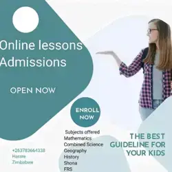 Holiday online lessons for O level and A level