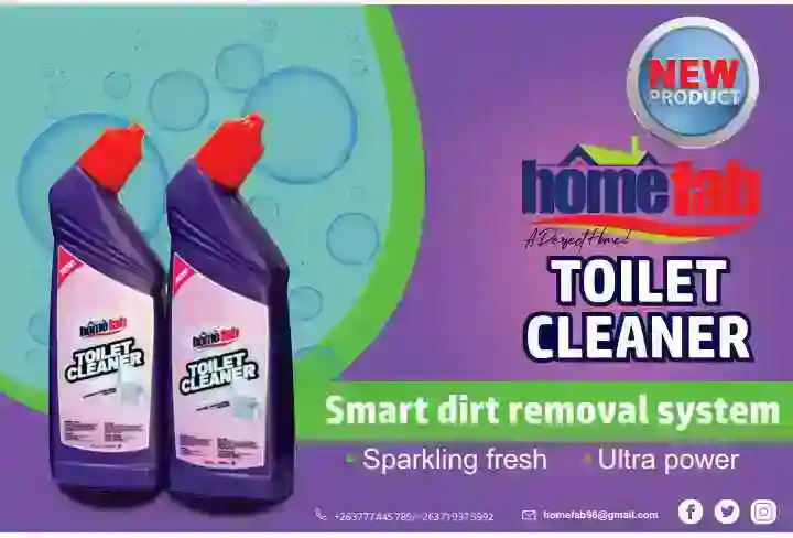 HOMEFAB - Toilet cleaner