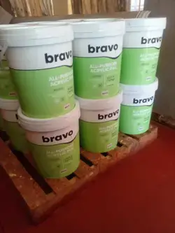 interior/exterior acrylic paint