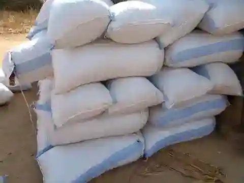 Maize for sale 
