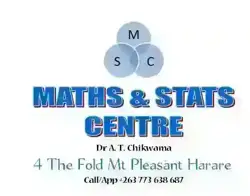 Mathematics/Statistics Private Tutor