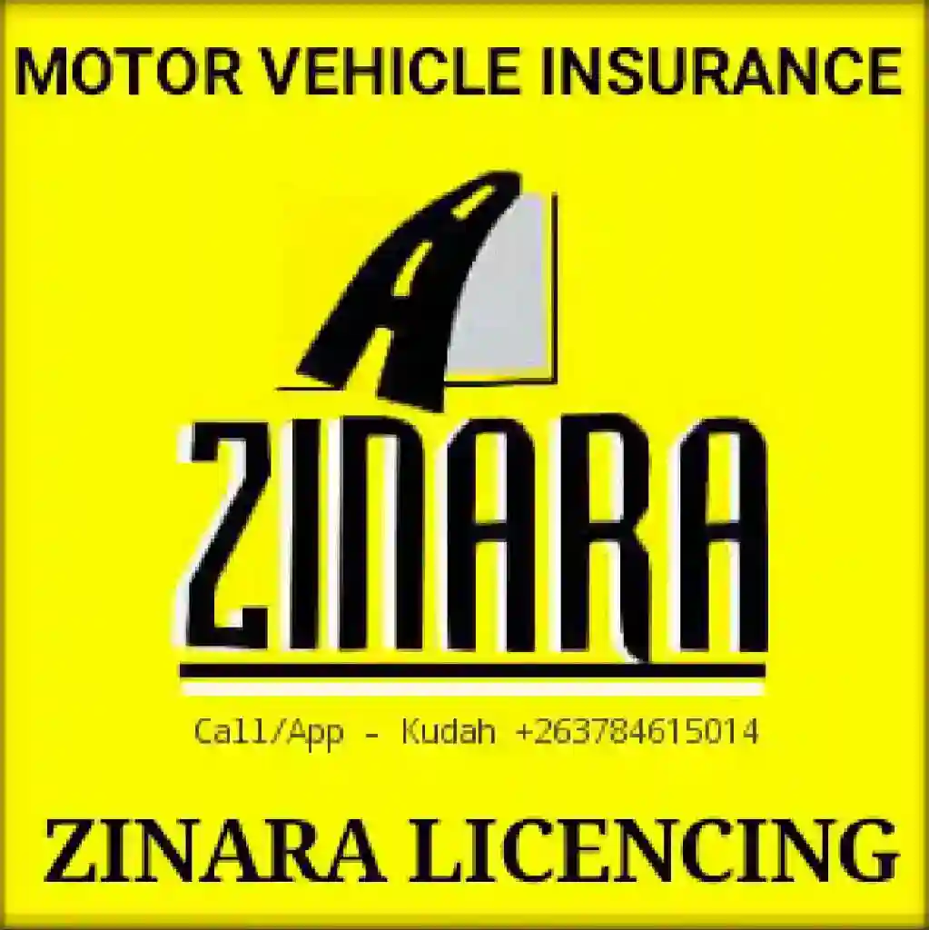 Motor Vehicle Insurance