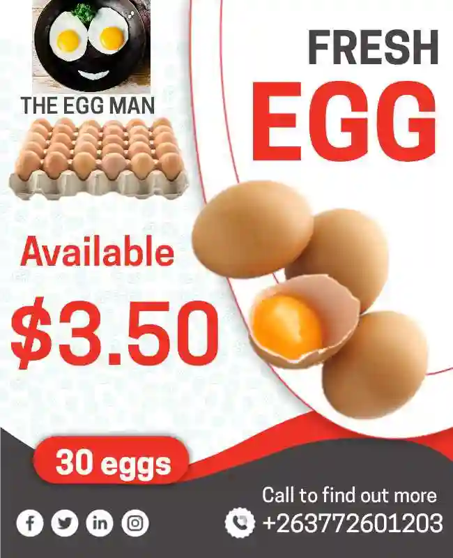 Mr egg man