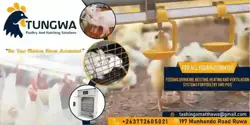 Nipple drinking system for chickens