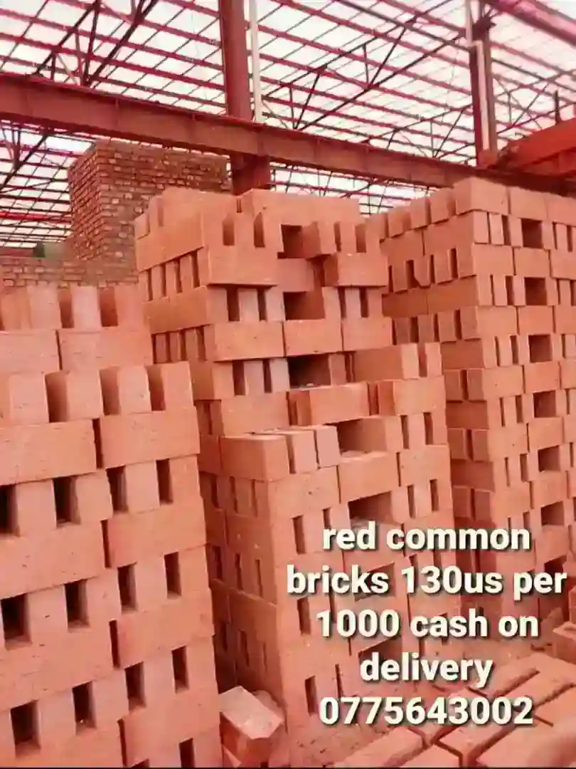 Red Common Bricks