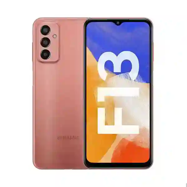 Samsung F13