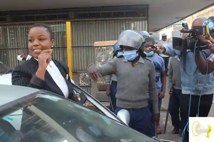10 Journalists, MDC Alliance Protestors Arrested At ZEC Offices