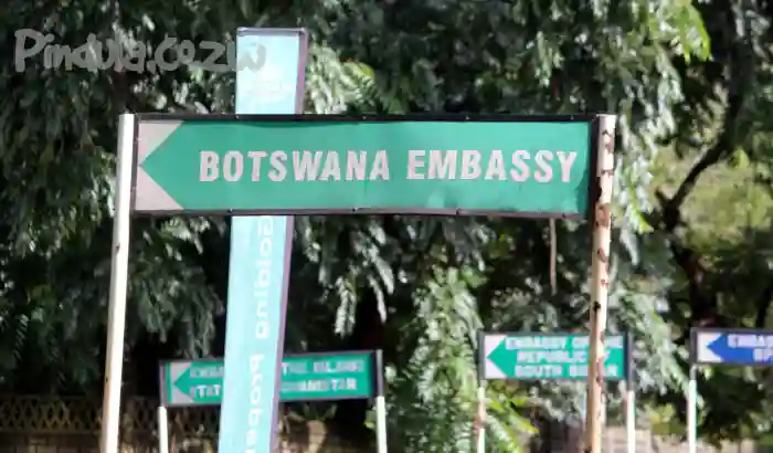 132 Zimbabwean Refugees Repatriated From Botswana