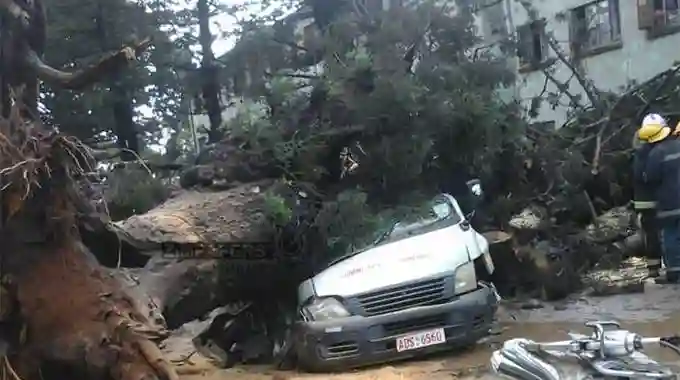 2 People Perish After Huge Tree Collapses On Kombi