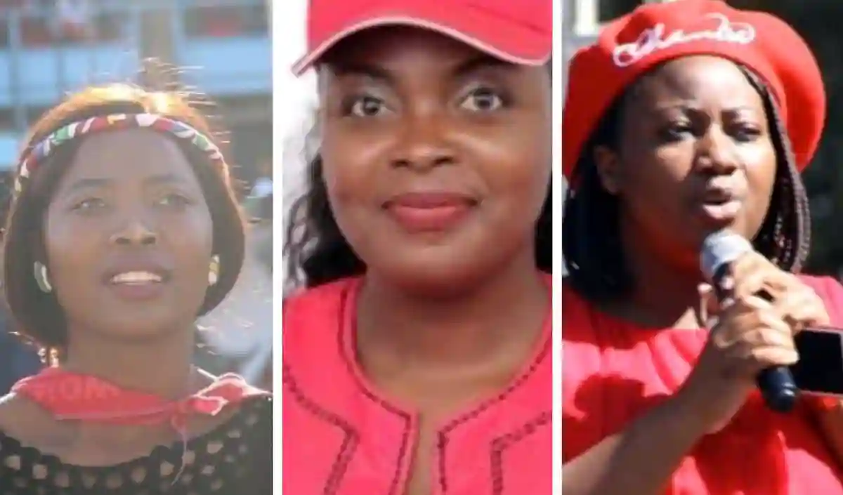 3 MDC Activists Suffered Horrific Inhuman & Degrading Treatment, Including S_xual Abuse - Chamisa