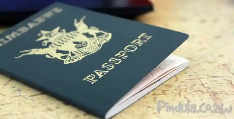 8 000 Passports Being Produced Daily To Clear 280 000 Backlog - Minister