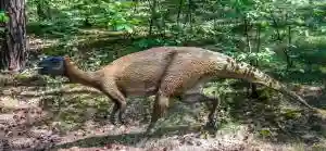 Africa's Known Oldest Dinosaur Found In Northern Zimbabwe