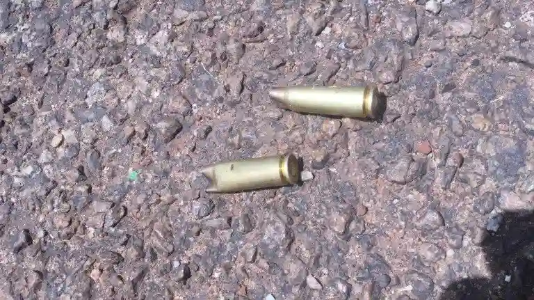 Armed Robber Shot Dead In Gutu Shootout