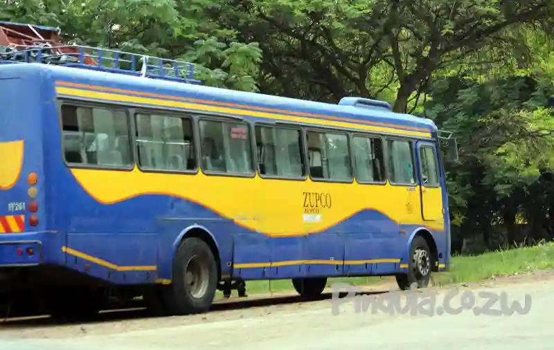 AVM To Make 300 Zupco Buses
