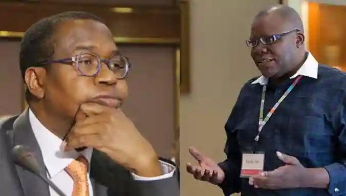 Biti's Crude Language Shows Lack Of Sophistication & Poise: Mthuli Ncube