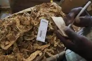 Boka Tobacco Sales Floor Suspended
