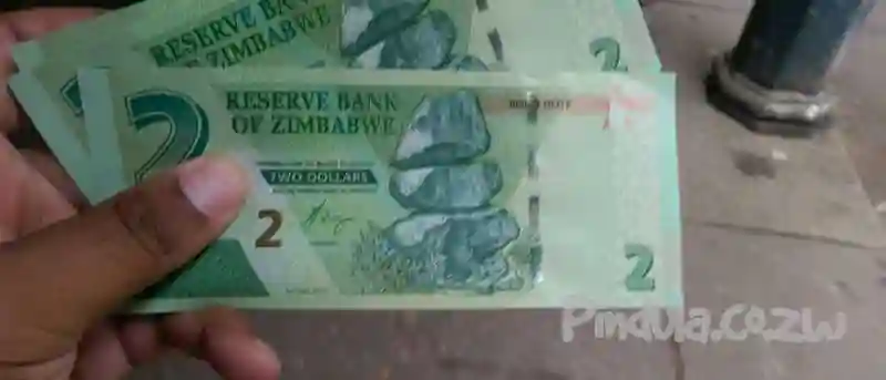 "Bond notes may cause Mugabe's downfall, says CIO report"