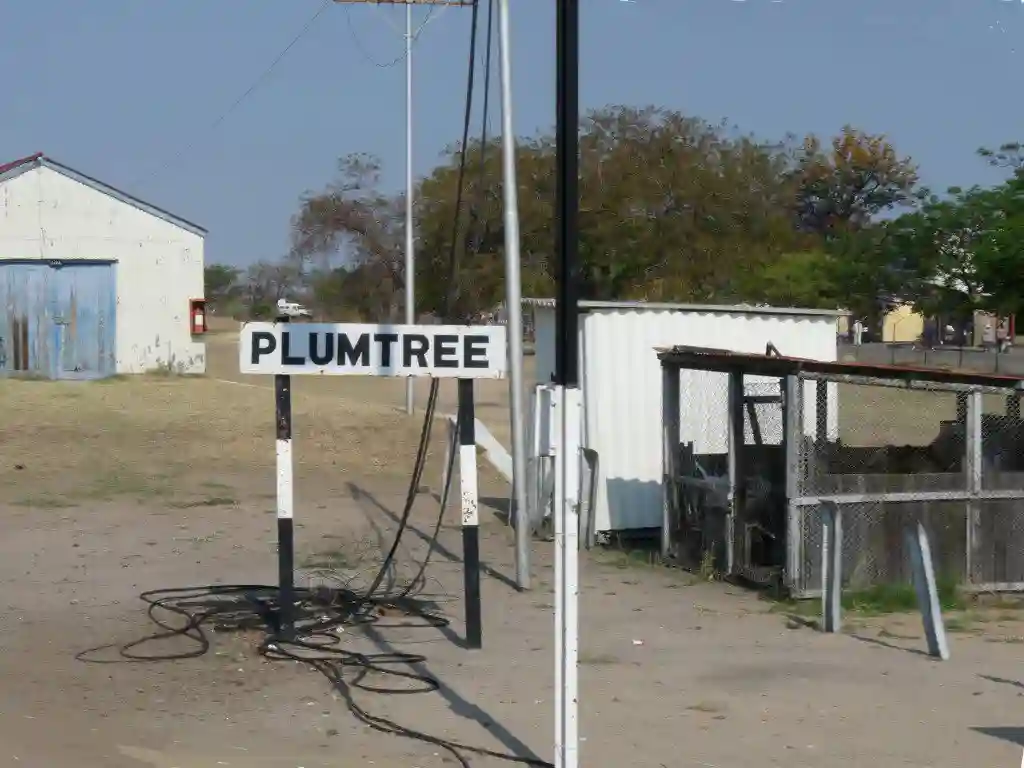 Border Touts Convert Plumtree School Into Criminal Hideout