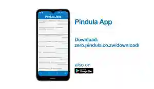 Browse Zimbabwean Job Vacancies Online Without Data Bundles - Yes it's possible