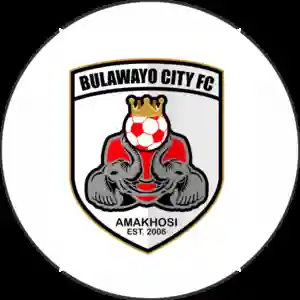 Bulawayo City F.C. fined $2 500 for age cheating. Players receive bans