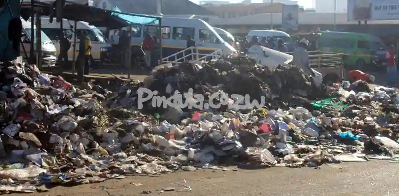Bulawayo Struggling To Collect Refuse - Report