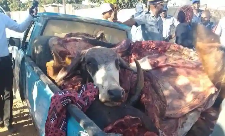 Cattle Rustlers Flee With "Brave" Neighbourhood Watch Member On Back Of Van