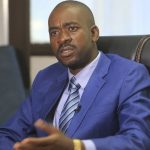Chamisa Desperate For By-elections To Regain Lost Ground – Analyst