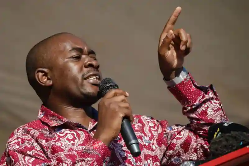 Chamisa Fires 145 Party Employees - Report