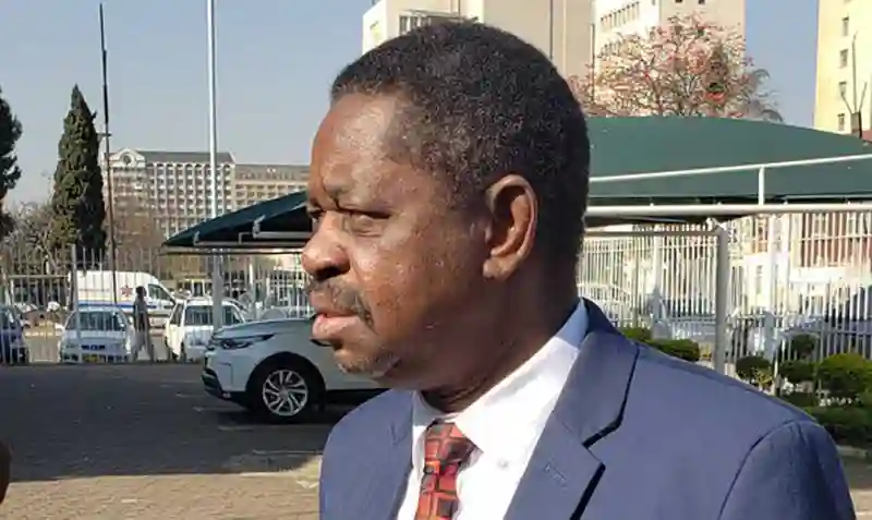 Chamisa's Call For Transitional Govt Is Unconstitutional- Zanu-PF