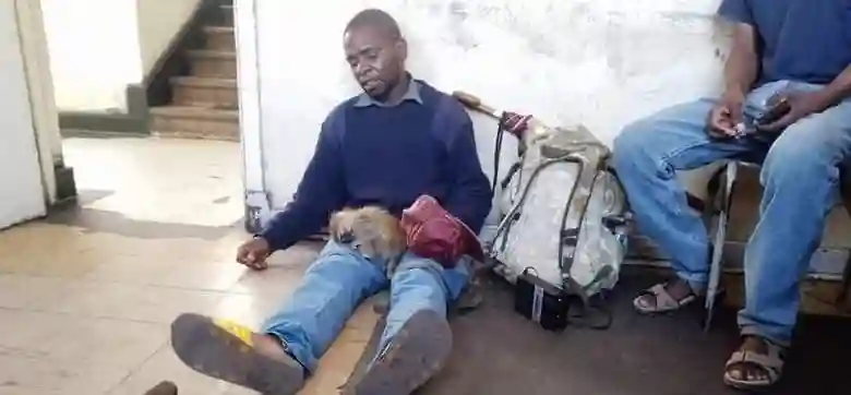 Chipinge Man In Court For Domesticating A Monkey