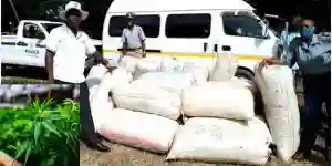 Chisumbanje Trio Caught With 2.3t Of Mbanje (Cannabis)