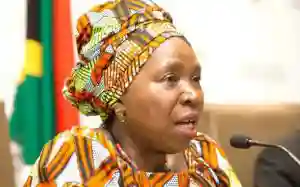 Dlamini-Zuma Defends Move To Vote In Favour Of Ramaphosa Impeachment Proceedings